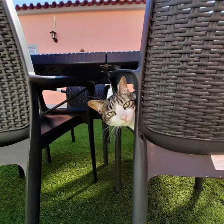 Casa Do Patio Дом отдыха *